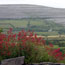 Burren