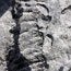 Burren