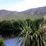 Connemara