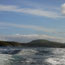 Skellig