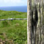 Valentia